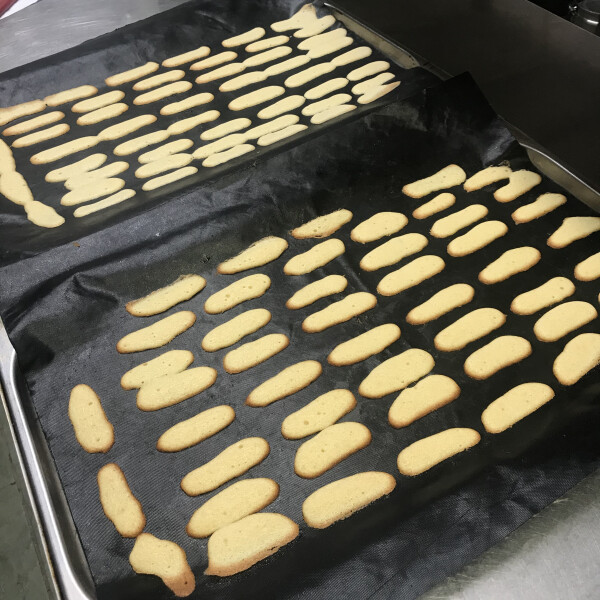 James C's 59th gallery image