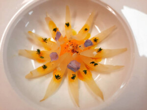alvi V's 3rd gallery image