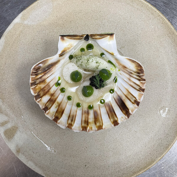 Brad C's 23rd gallery image