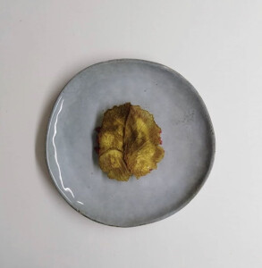 Nicola G's 1st gallery image