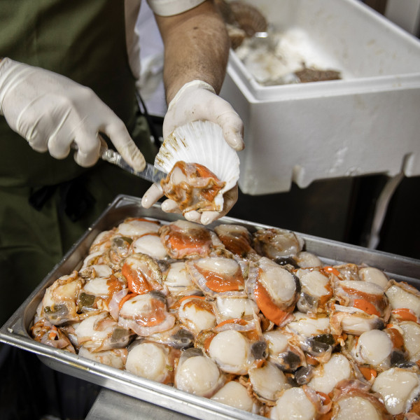 Paul H's 14th gallery image