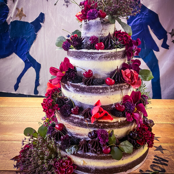 Tara M's 20th gallery image
