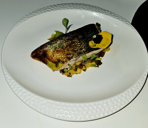 Carl's 1st gallery image