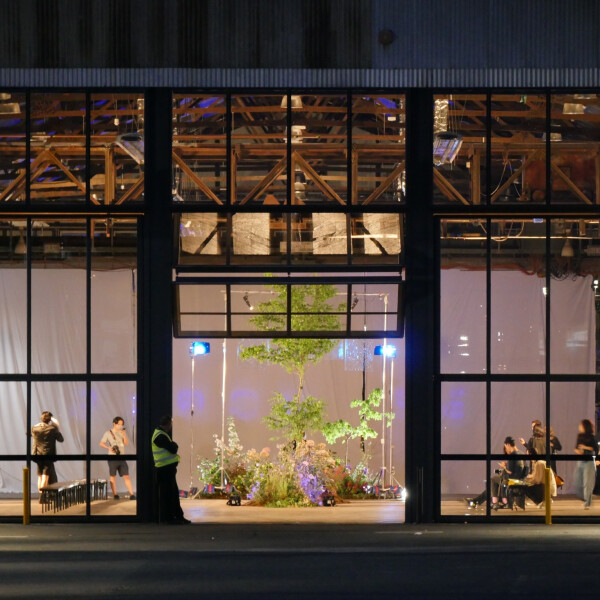 Kaffar S's 20th gallery image