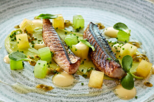 Hywel G's 1st gallery image