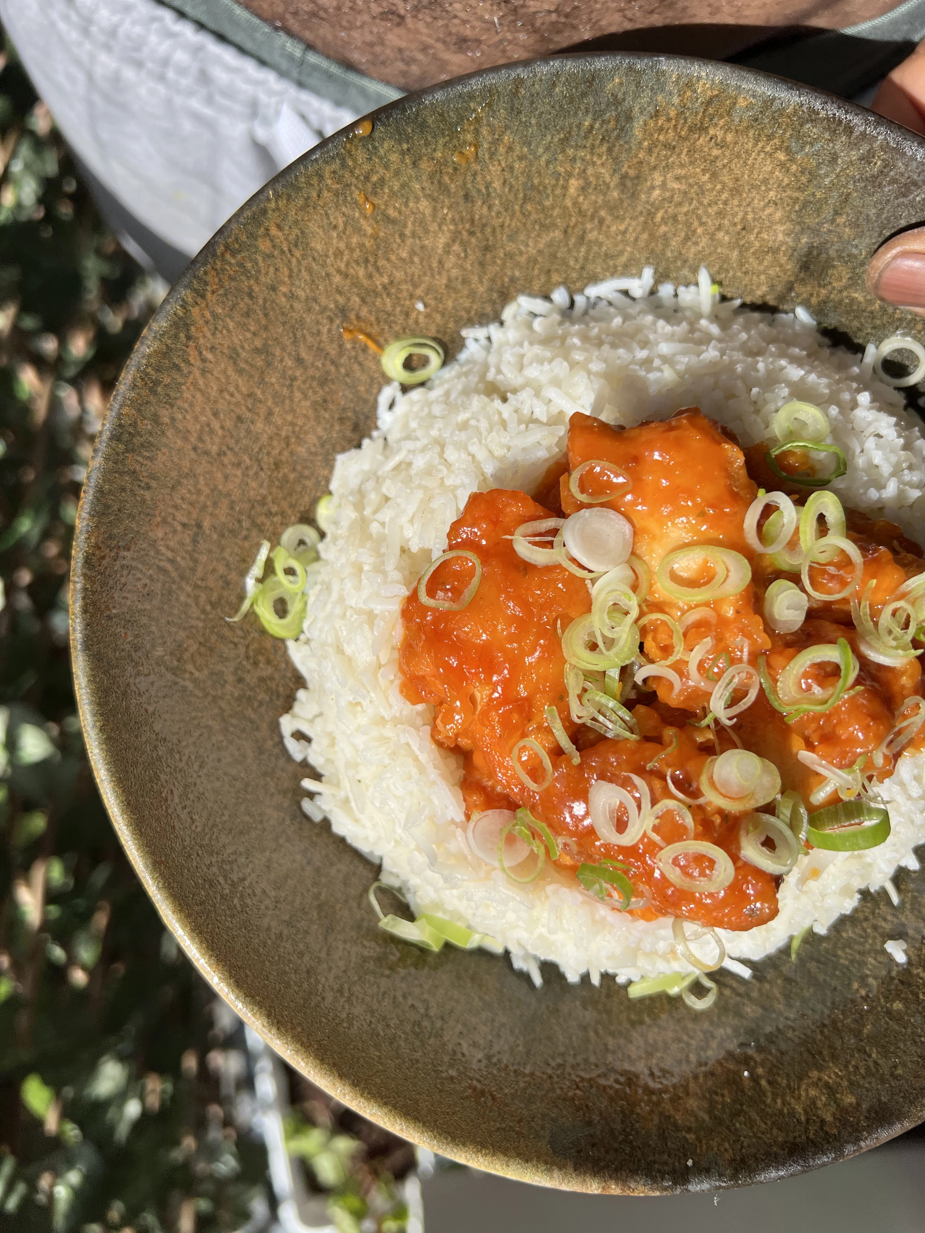 Pan Asian Fusion