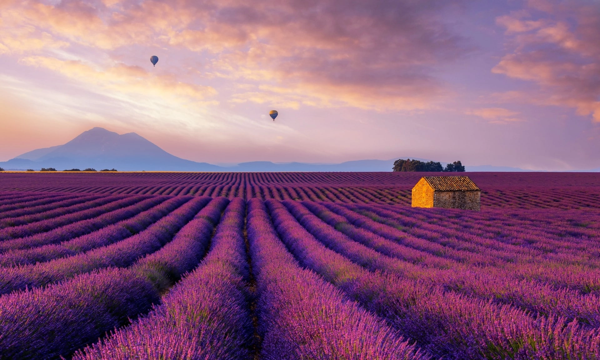 A Brunch in Provence