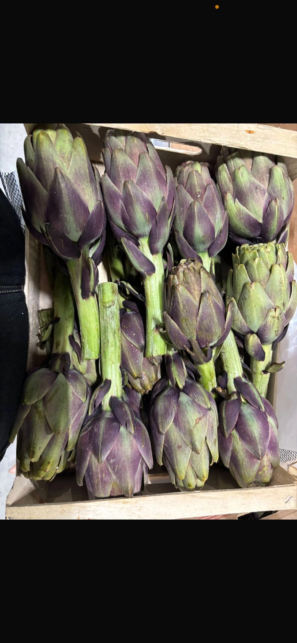 Italian