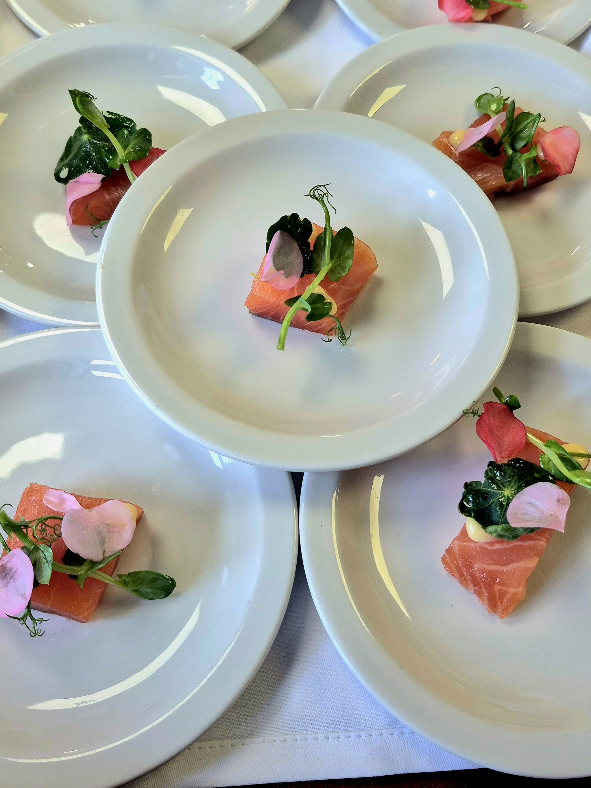 Fashion dinner