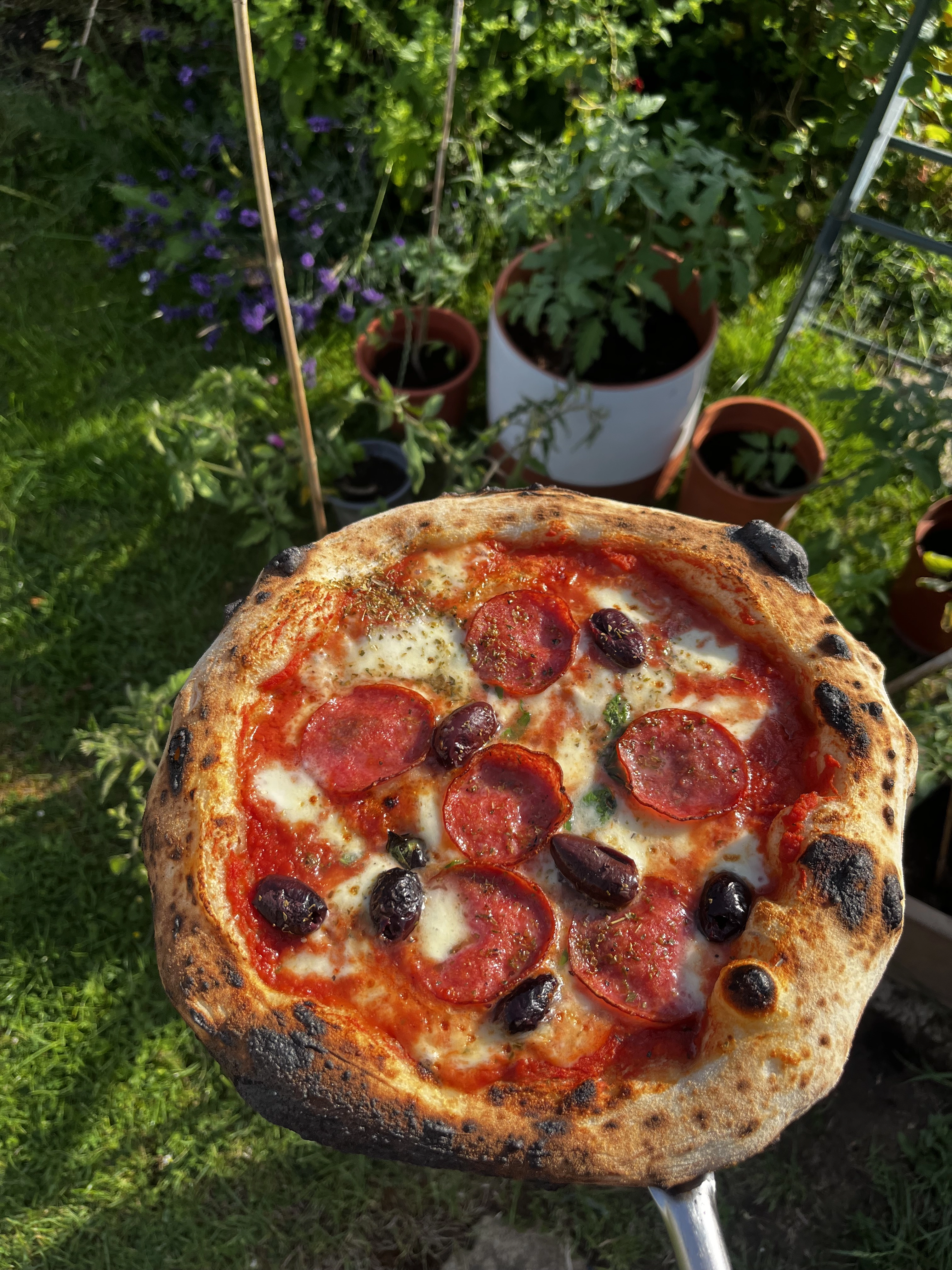 Pizza Party