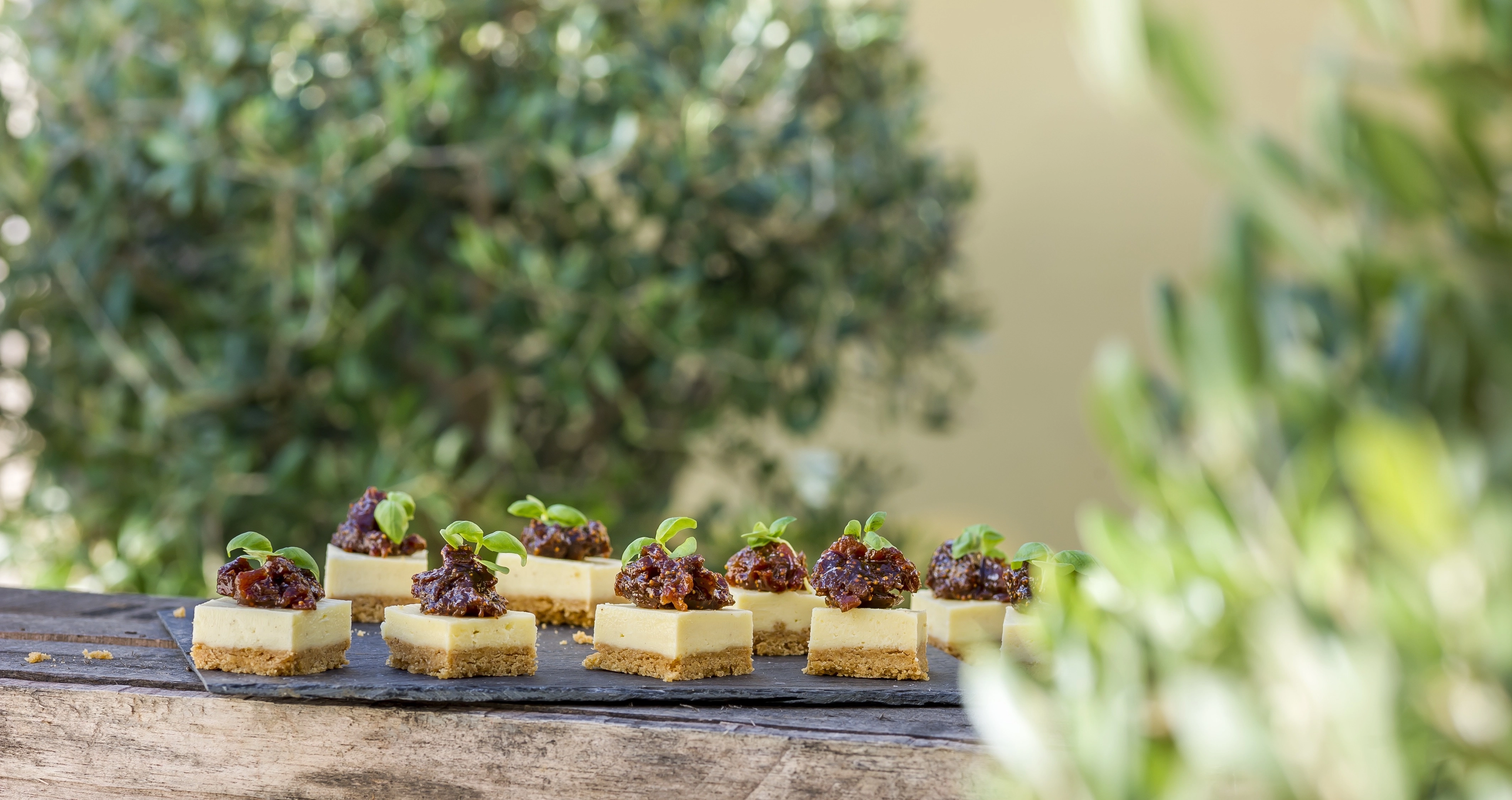 Canape Party