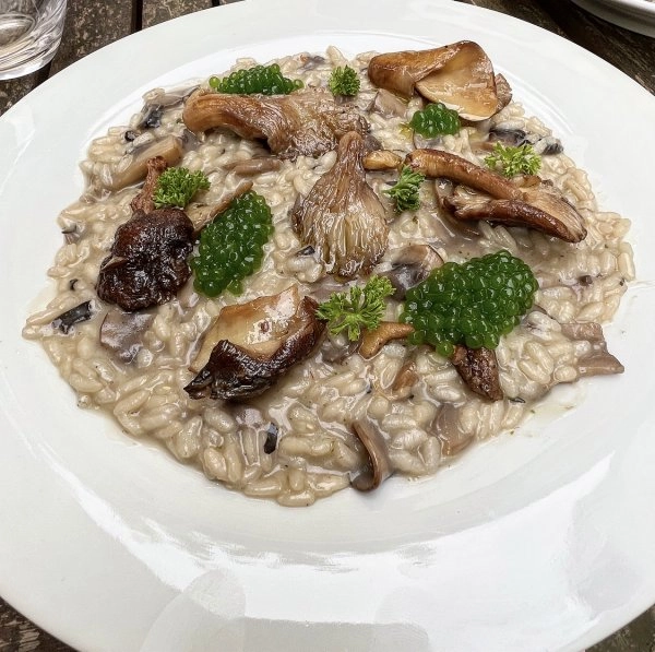 Chef Federico S's A trip across Italy menu image