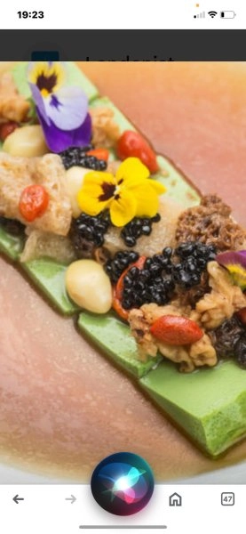 Chef Ian R's THE GARDEN OF EDEN: Vegetarian and vegan dishes. menu image
