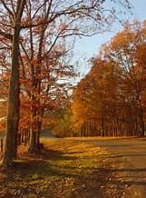 Chef Paul D's Autumn Menu menu image