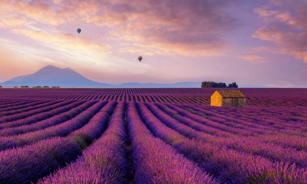 Chef Ignacio M's A Brunch in Provence menu image