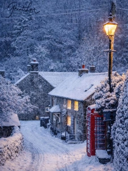 Chef Christopher Galt .'s MODERN BRITISH WINTER | Hearty winter classics elevated with premium seasonal ingredients. menu image
