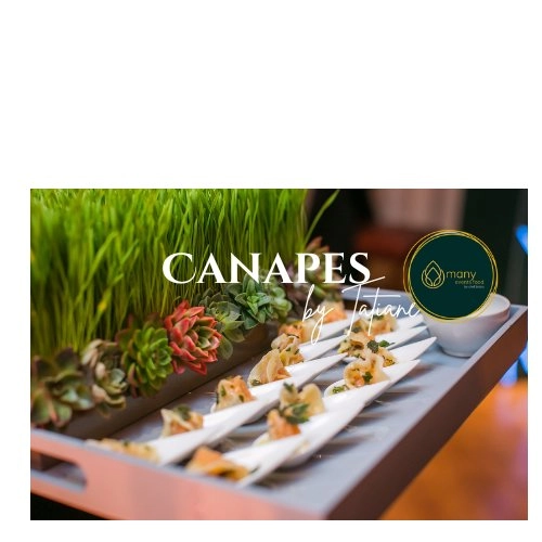 Discovery Canapes (V)
