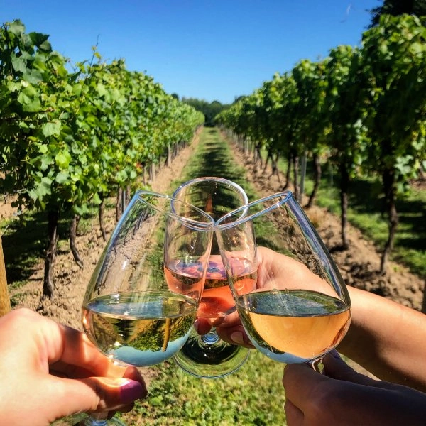 Chef Tristan E's English Wine Discovery and Pairing menu image