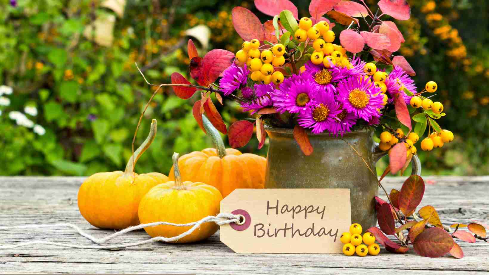 7 Outdoor Birthday Ideas in Nottingham for a Fun-Filled Day